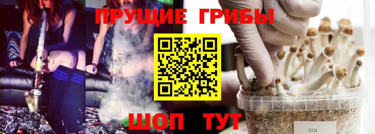 Псилоцибиновые грибы прущие грибы Минеральные Воды